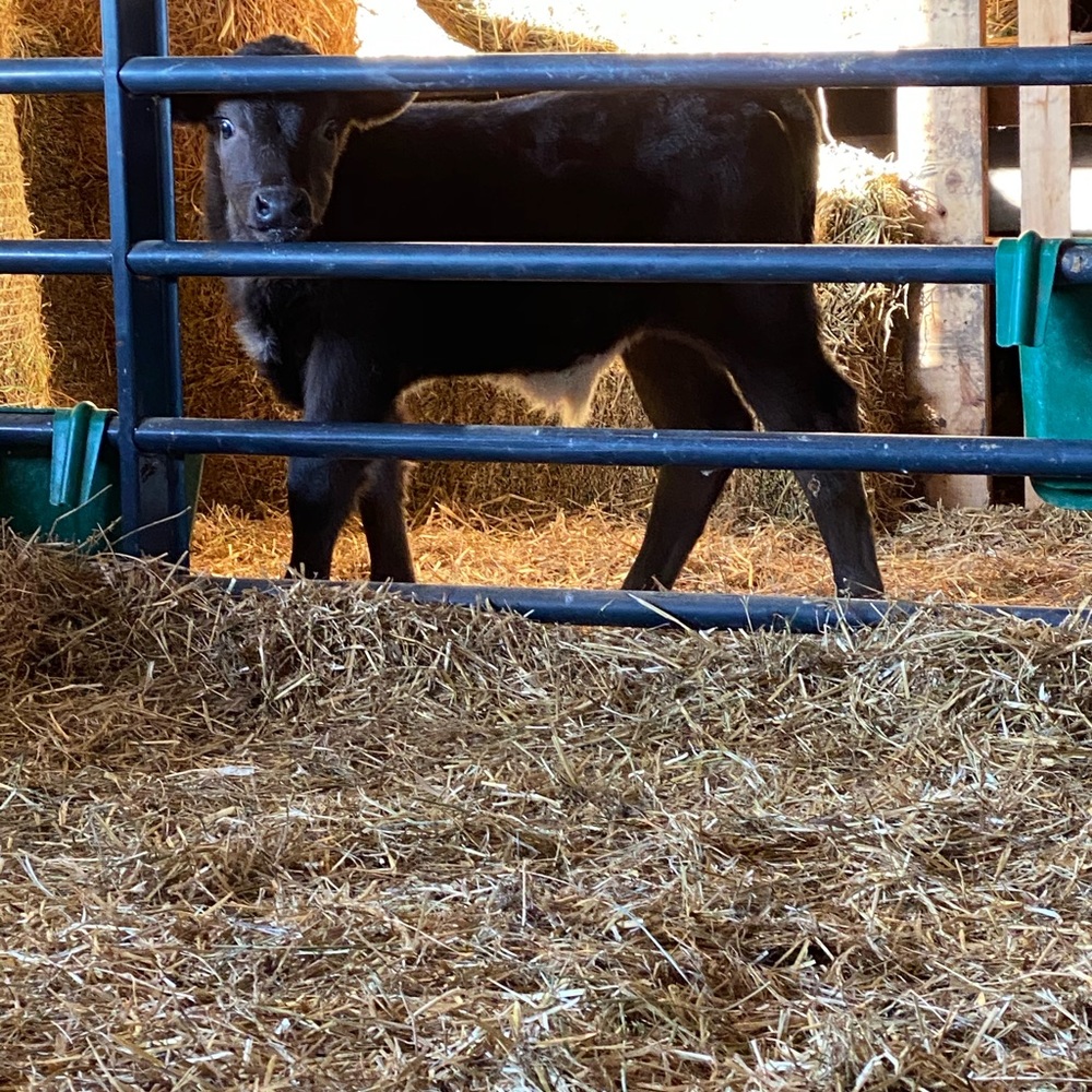 Meet your Posher, Ed